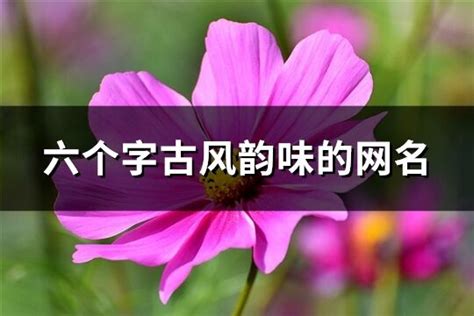 名字是六個字|六个字古风韵味的网名(共940个)